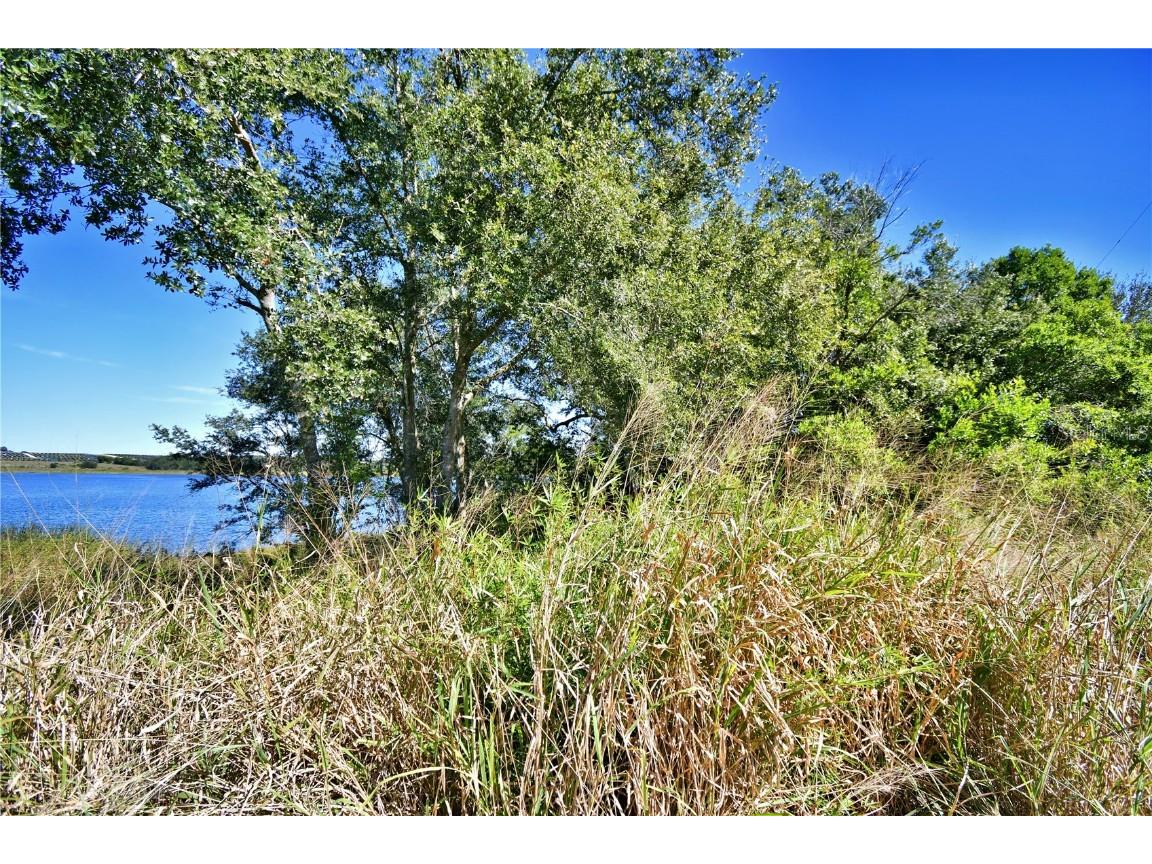 Lake Mabel Loop Road Lake Wales FL 33898 S5128120 image10