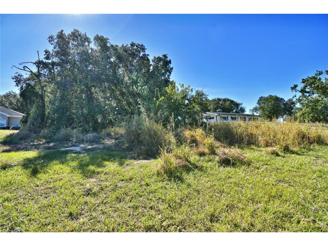 Lake Mabel Loop Road Lake Wales FL 33898 S5128120 image4