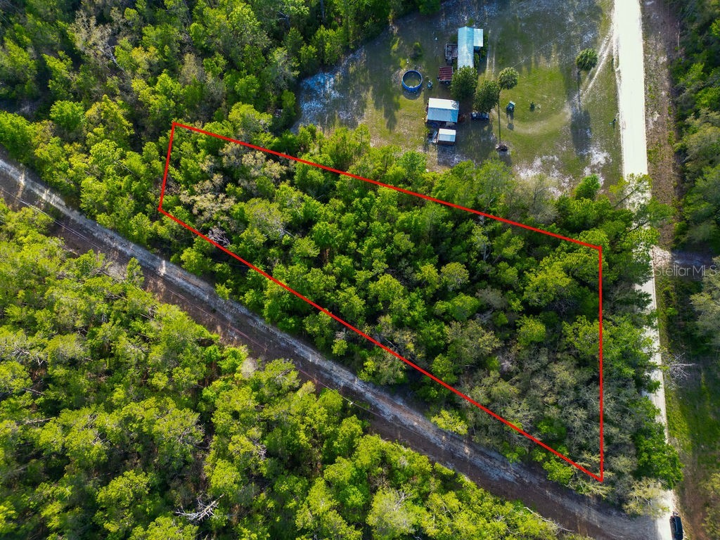 Lake Maregaret Boulevard Pomona Park FL 32181 V4948688 image1