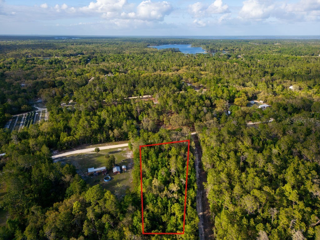 Lake Maregaret Boulevard Pomona Park FL 32181 V4948688 image11