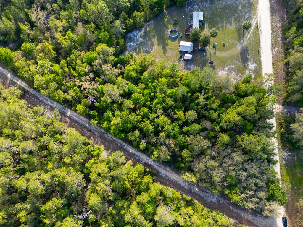 Lake Maregaret Boulevard Pomona Park FL 32181 V4948688 image17