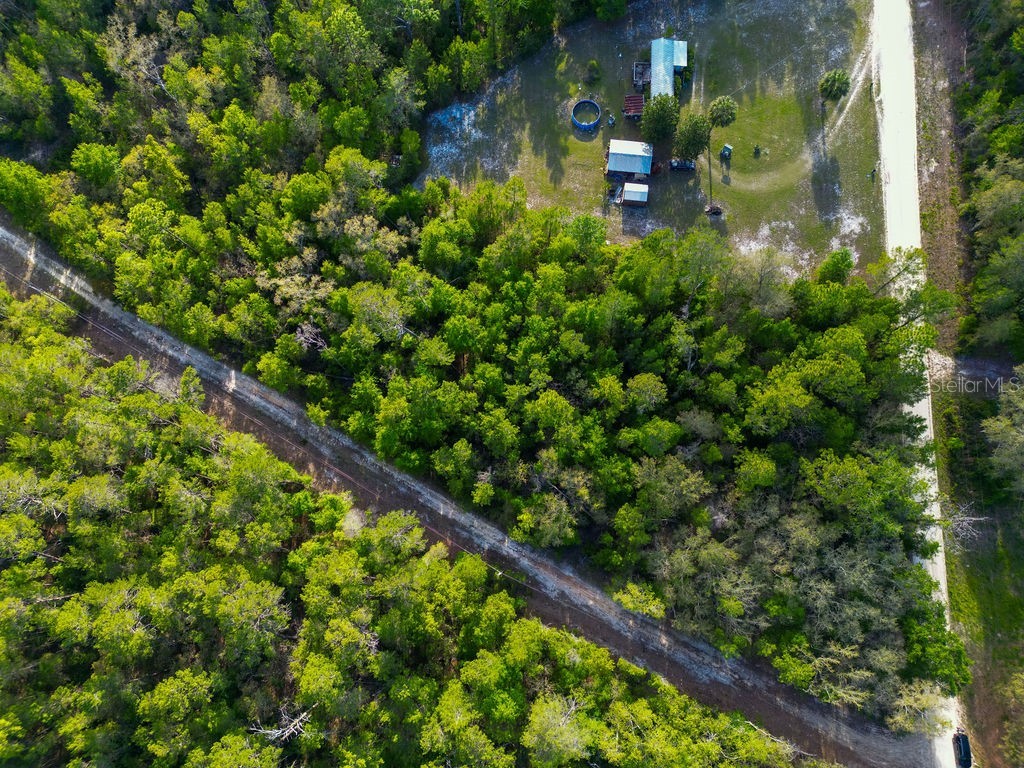 Lake Maregaret Boulevard Pomona Park FL 32181 V4948688 image2