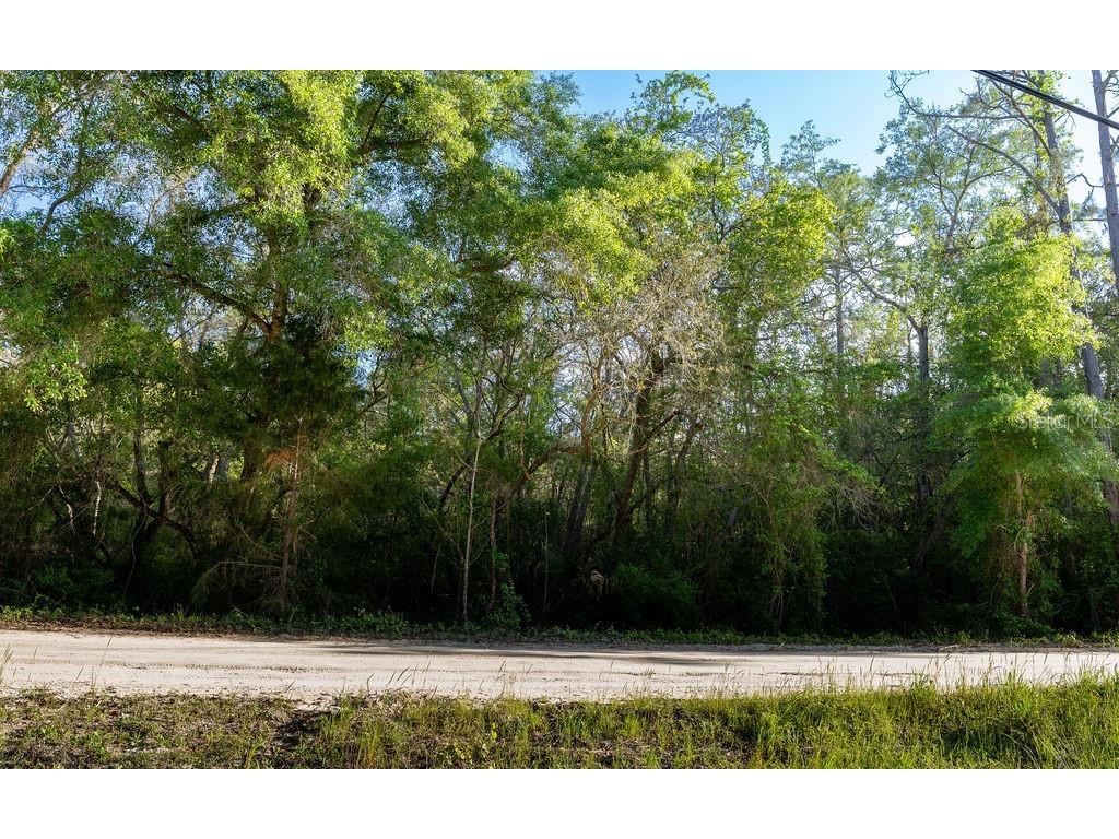 Lake Maregaret Boulevard Pomona Park FL 32181 V4948688 image3