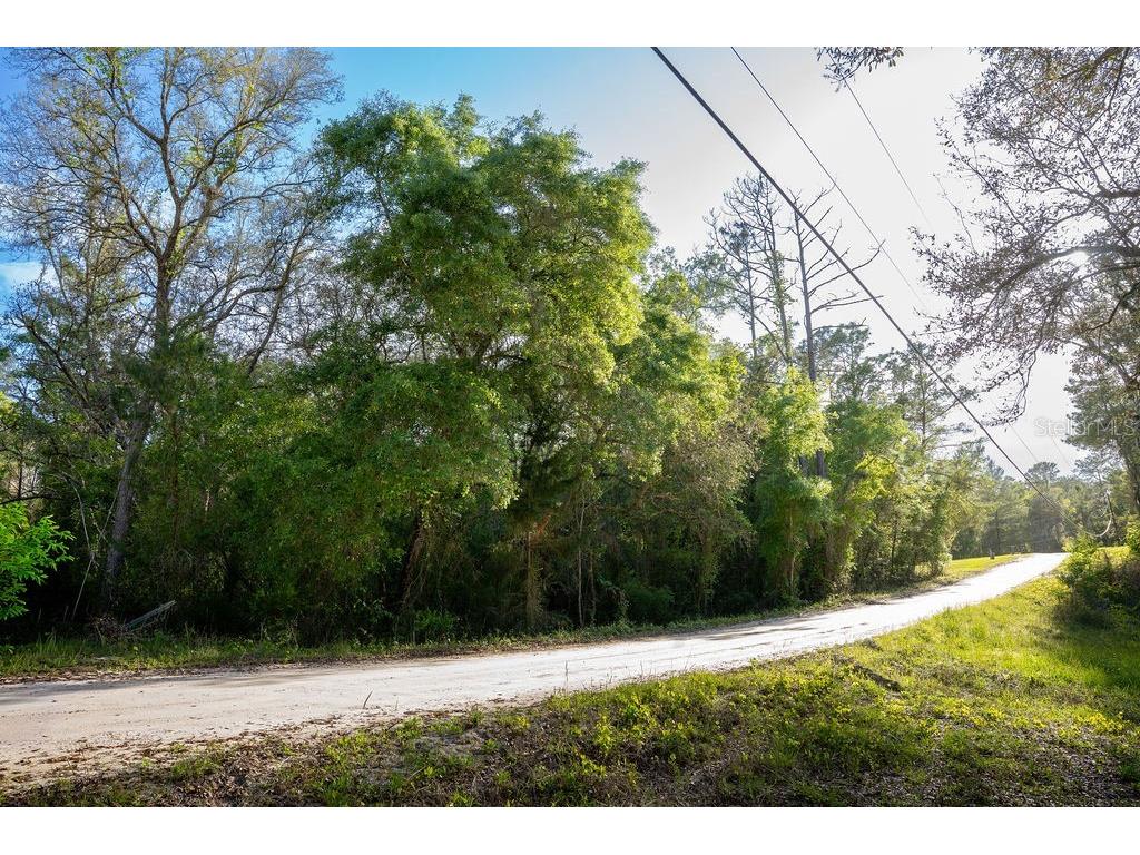 Lake Maregaret Boulevard Pomona Park FL 32181 V4948688 image4