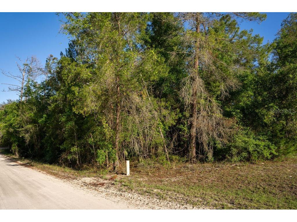 Lake Maregaret Boulevard Pomona Park FL 32181 V4948688 image5