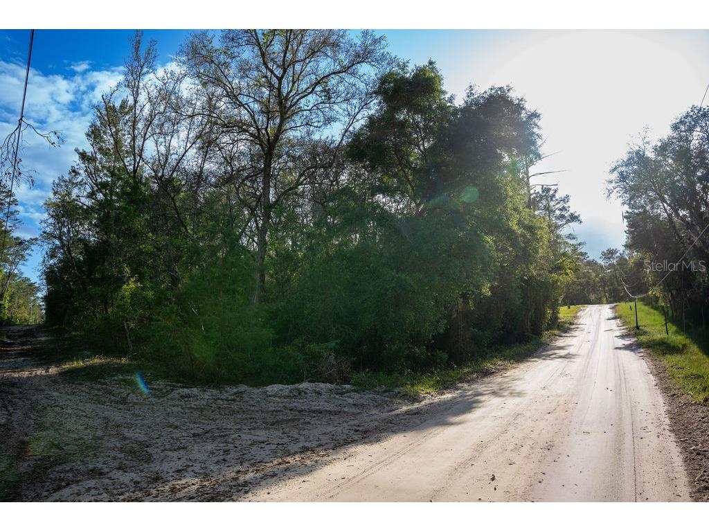 Lake Maregaret Boulevard Pomona Park FL 32181 V4948688 image6
