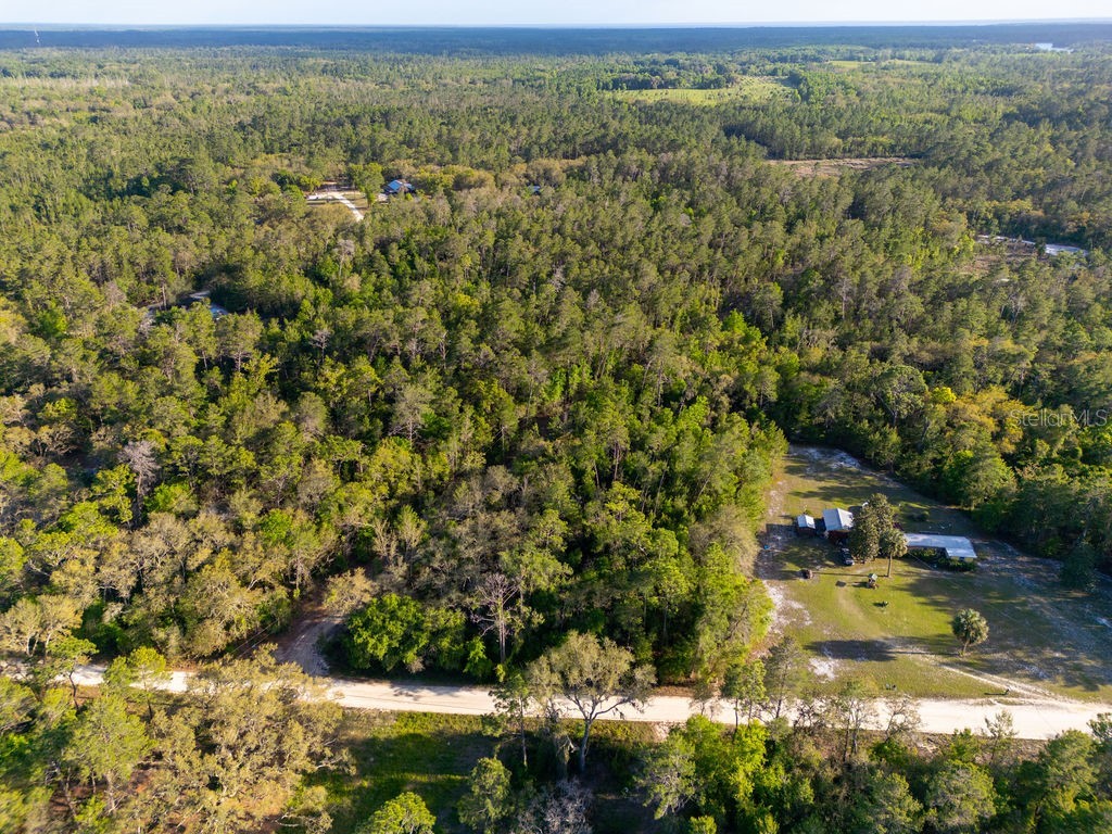 Lake Maregaret Boulevard Pomona Park FL 32181 V4948688 image8