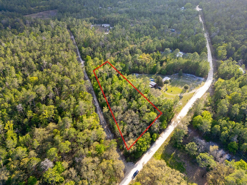 Lake Maregaret Boulevard Pomona Park FL 32181 V4948688 image9