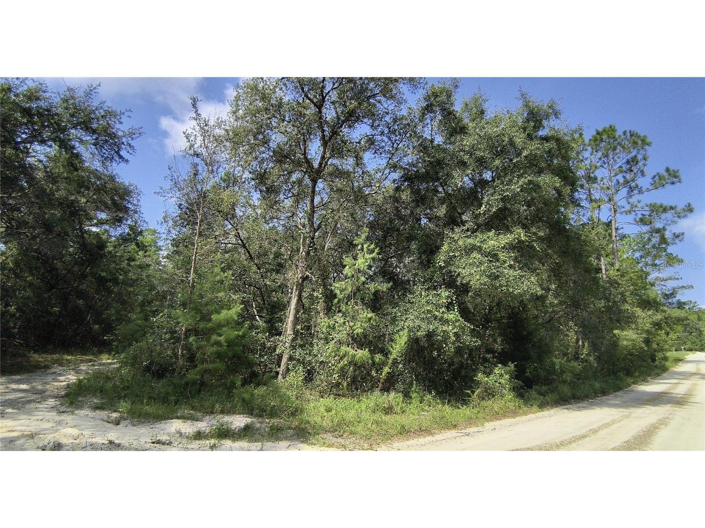 Lake Margaret Blvd Pomona Park FL 32181 V4931500 image1