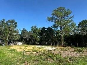 Lake Marion Creek Road Haines City FL 33844 S5142237 image1