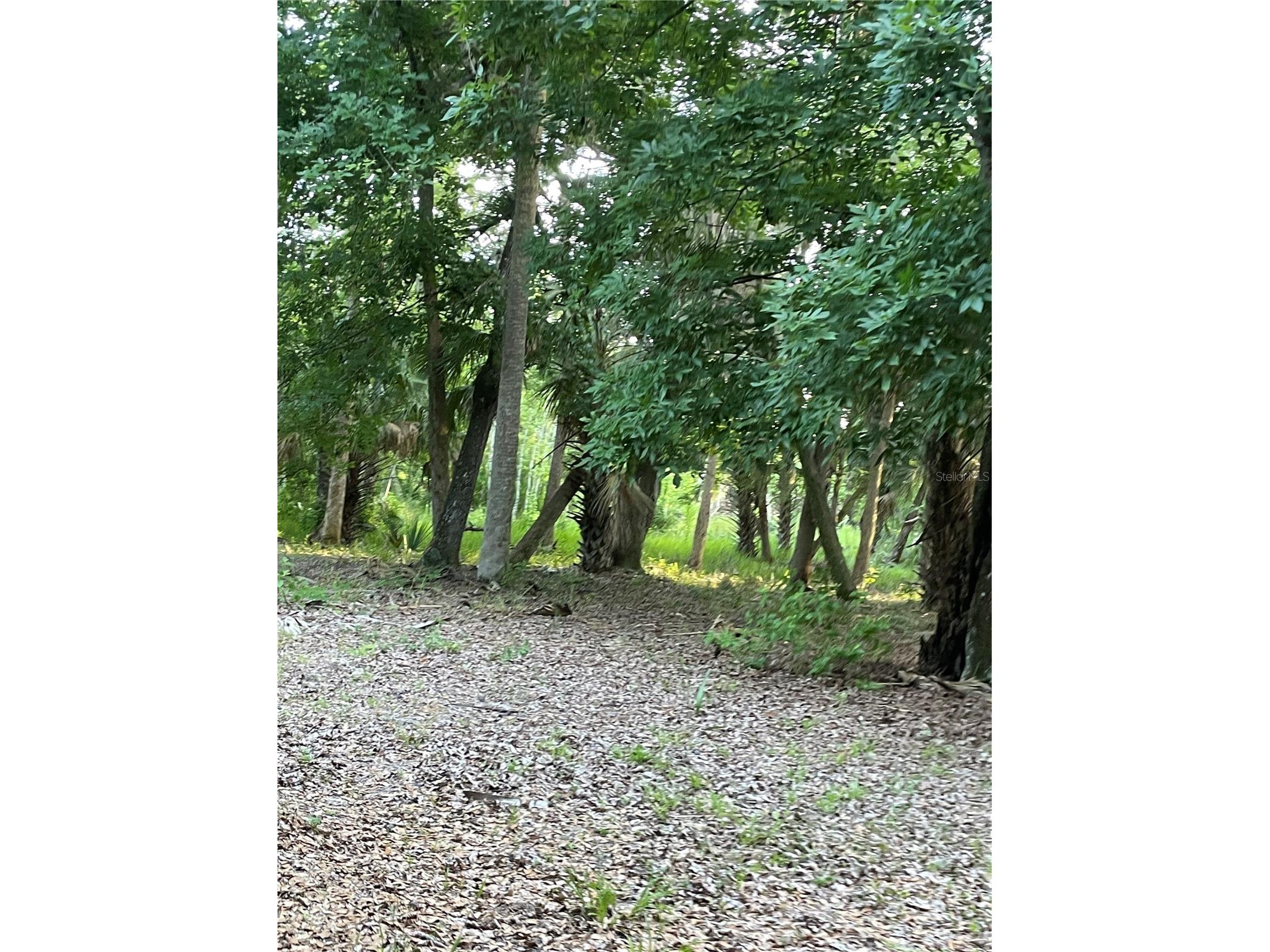 Lake Marion Road W Haines City FL 33844 P4938824 image11