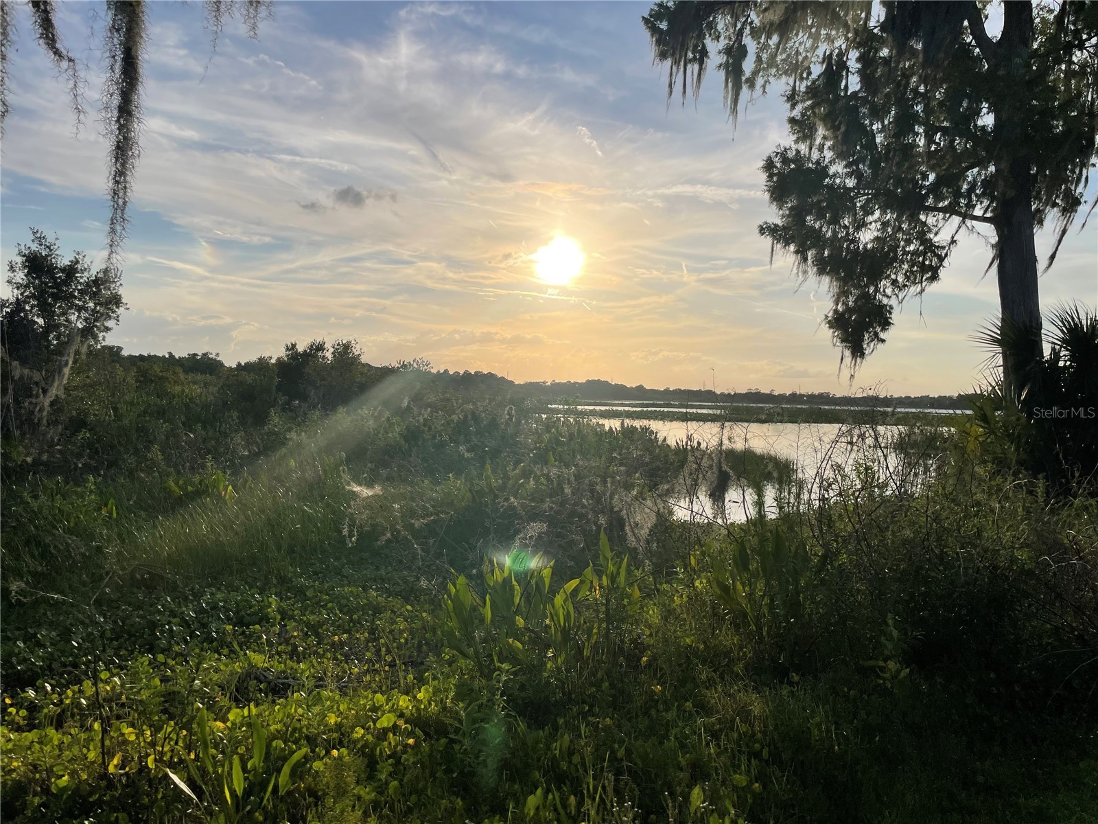 Lake Marion Road W Haines City FL 33844 P4938824 image14