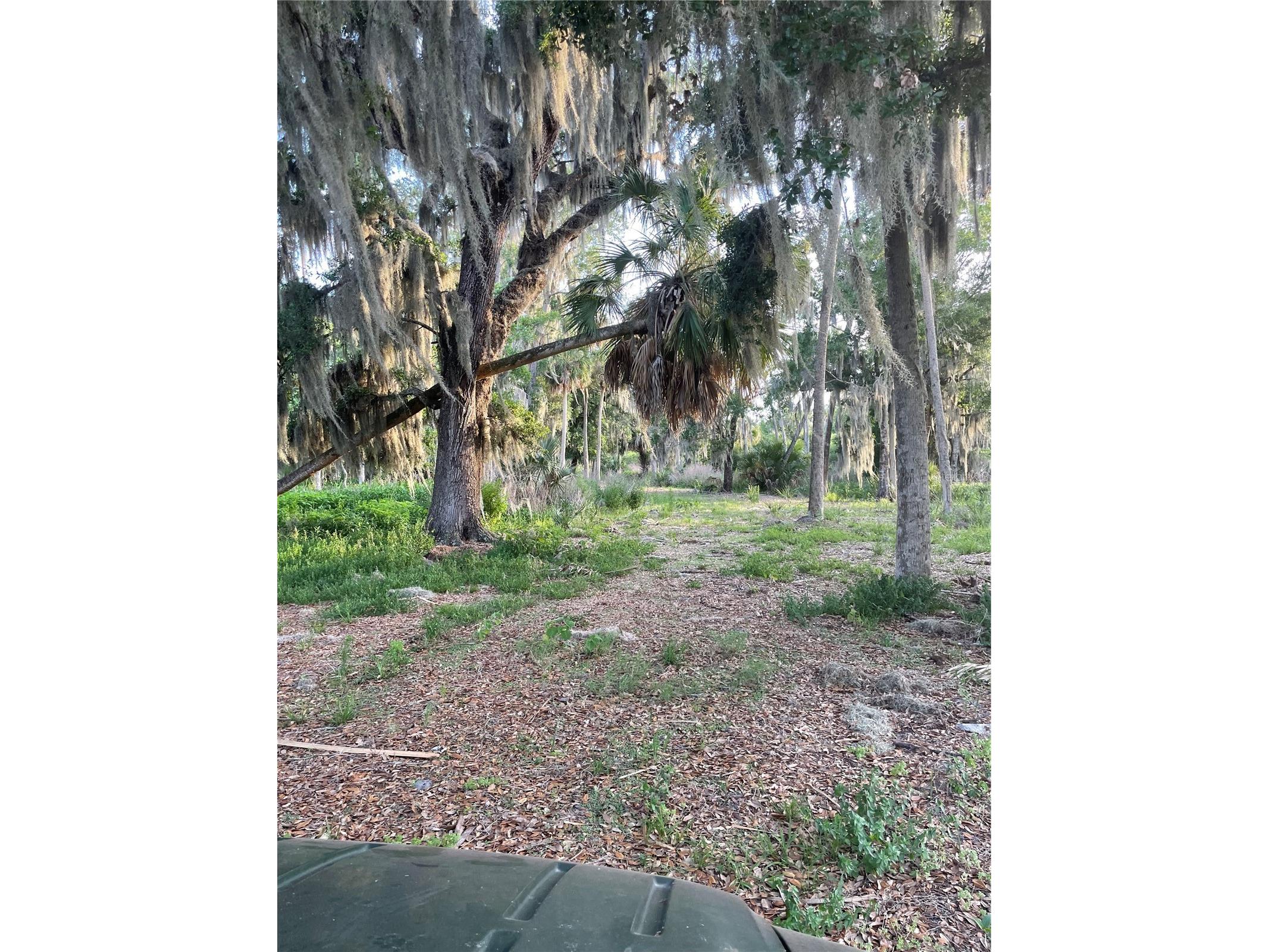 Lake Marion Road W Haines City FL 33844 P4938824 image5