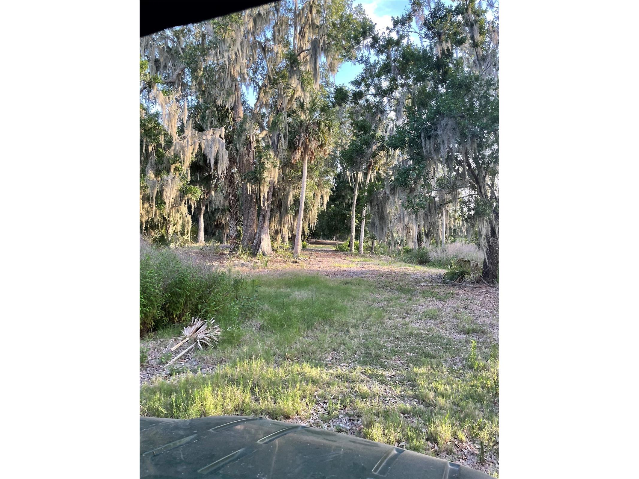 Lake Marion Road W Haines City FL 33844 P4938824 image6