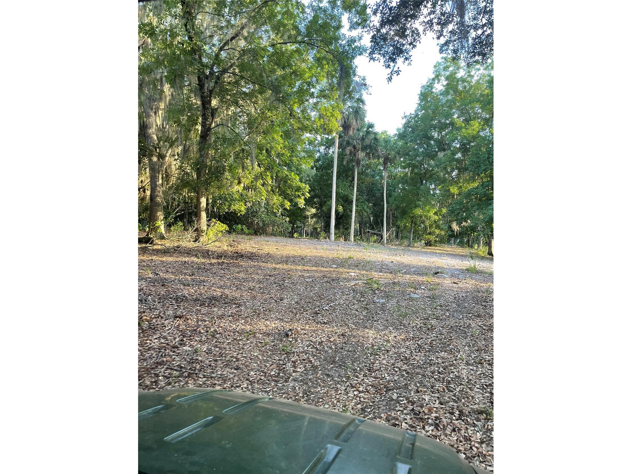Lake Marion Road W Haines City FL 33844 P4938824 image8
