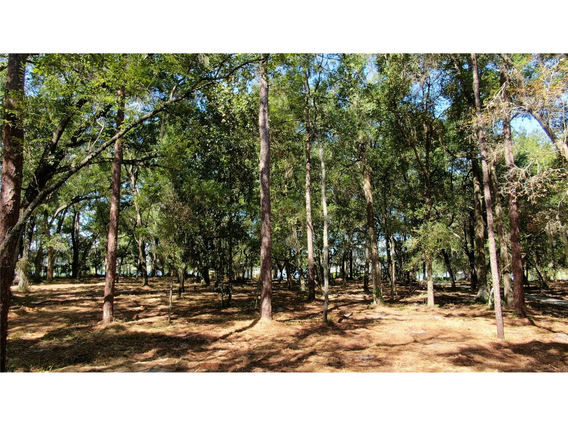 Lake Markham Road Sanford FL 32771 - LAKE MARKHAM O6335700 image8