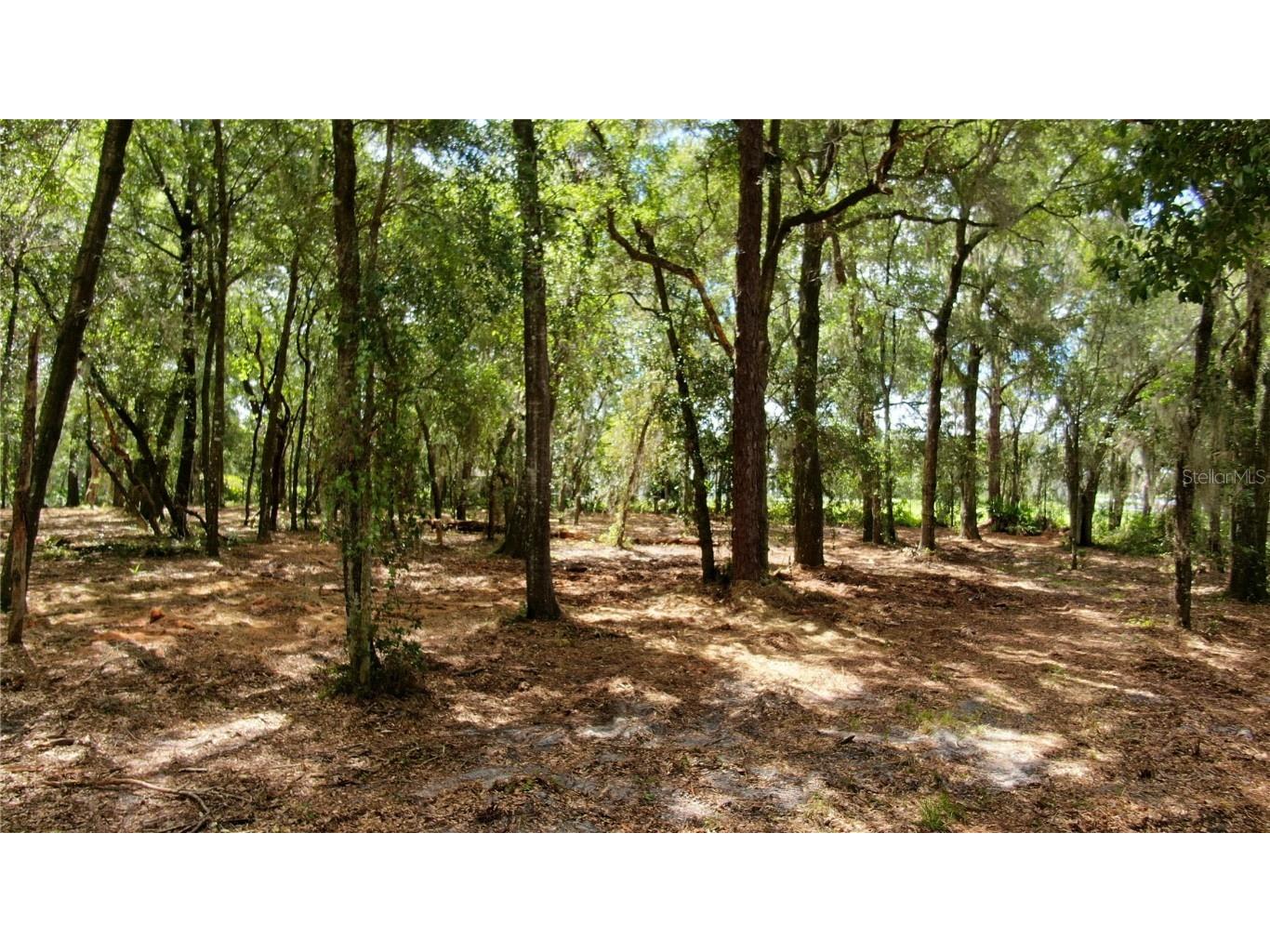 Lake Markham Road Sanford FL 32771 - LAKE MARKHAM O6341460 image9
