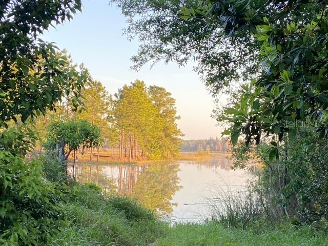 Lake Nellie Road Clermont FL 34714 - LAKE NELLIE G5053450 image1