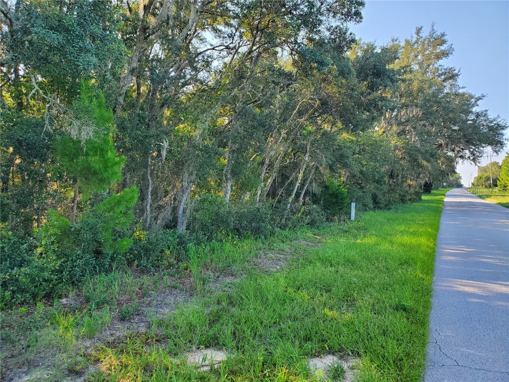 Lake Norris Road Eustis FL 32736 - BLACKWATER CREEK G5060099 image1