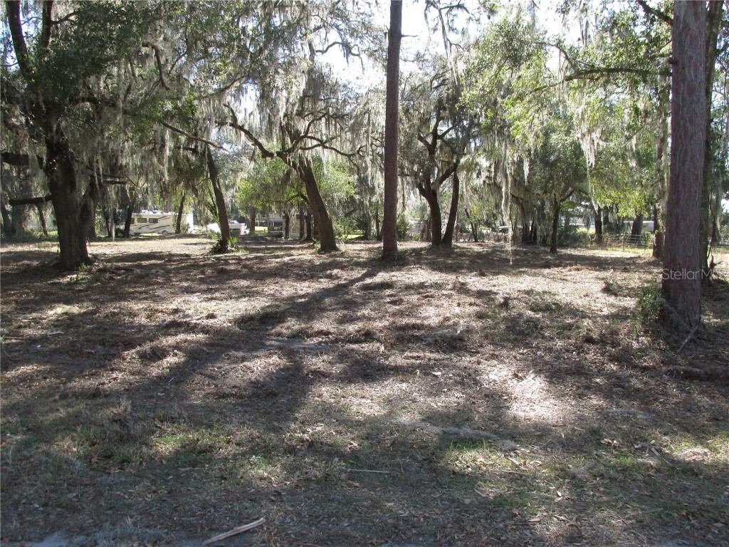  Lake Panasoffkee FL 33538 G5050889 image1