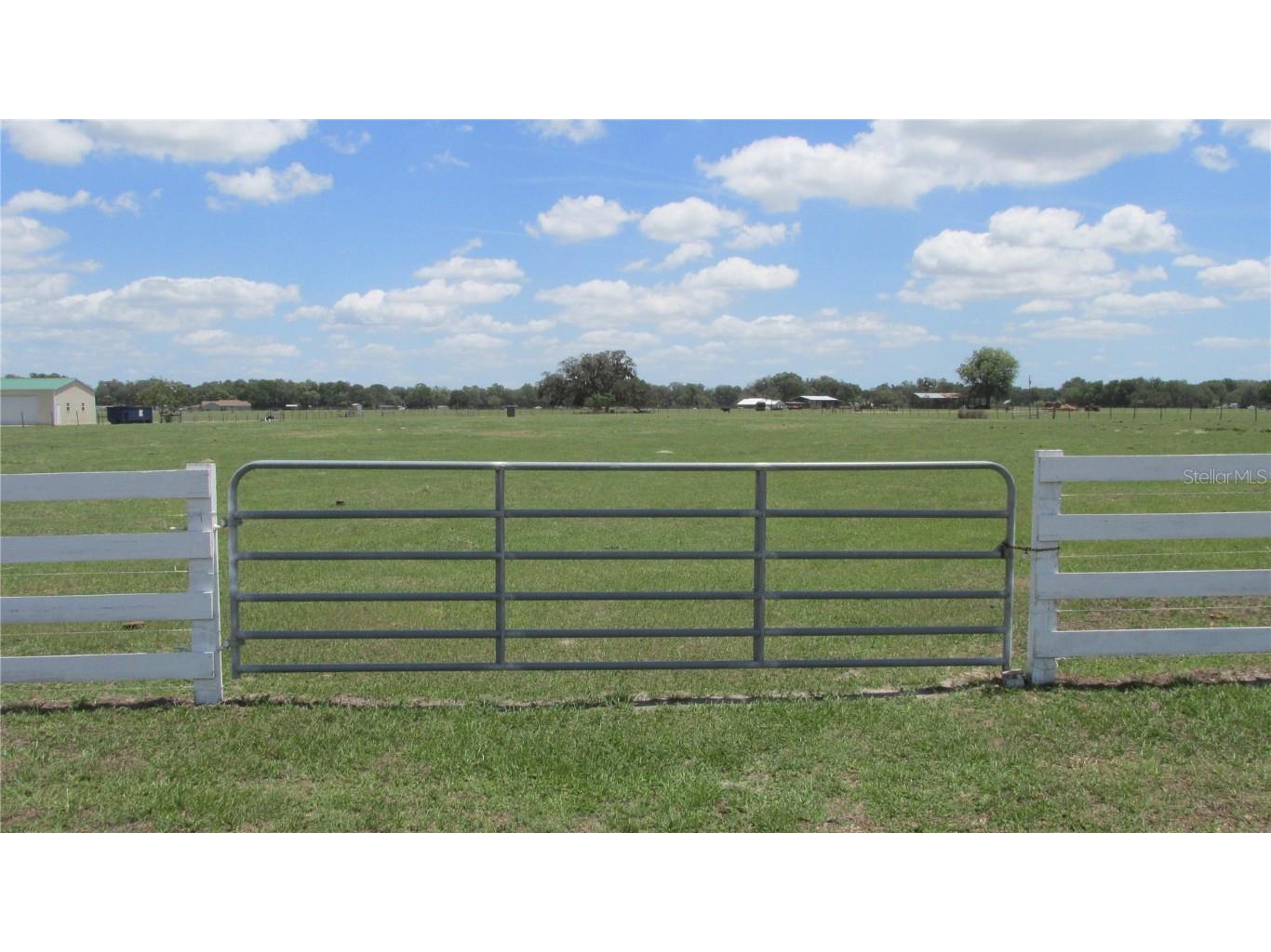  Lake Panasoffkee FL 33538 G5068284 image1