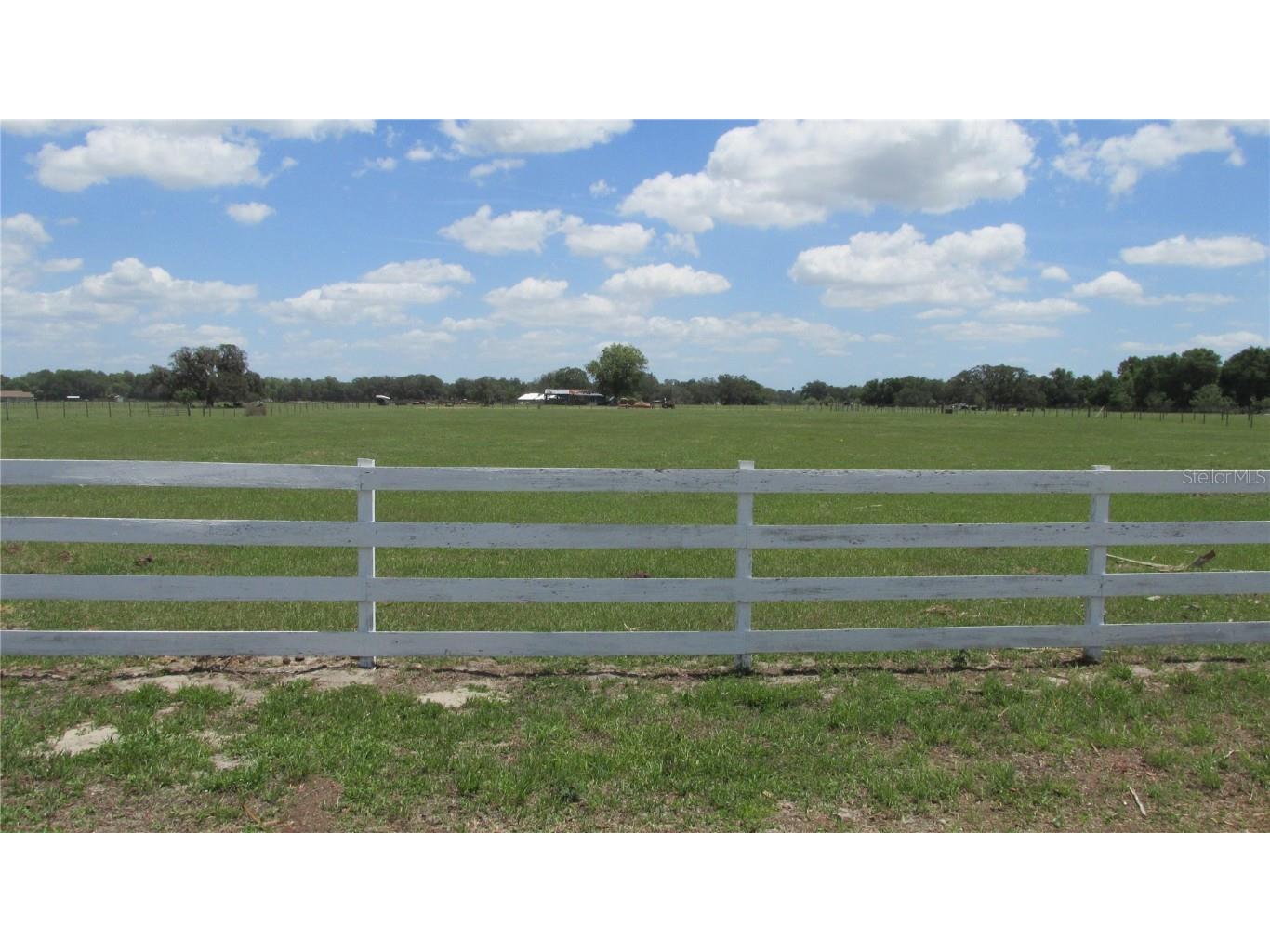  Lake Panasoffkee FL 33538 G5068285 image1