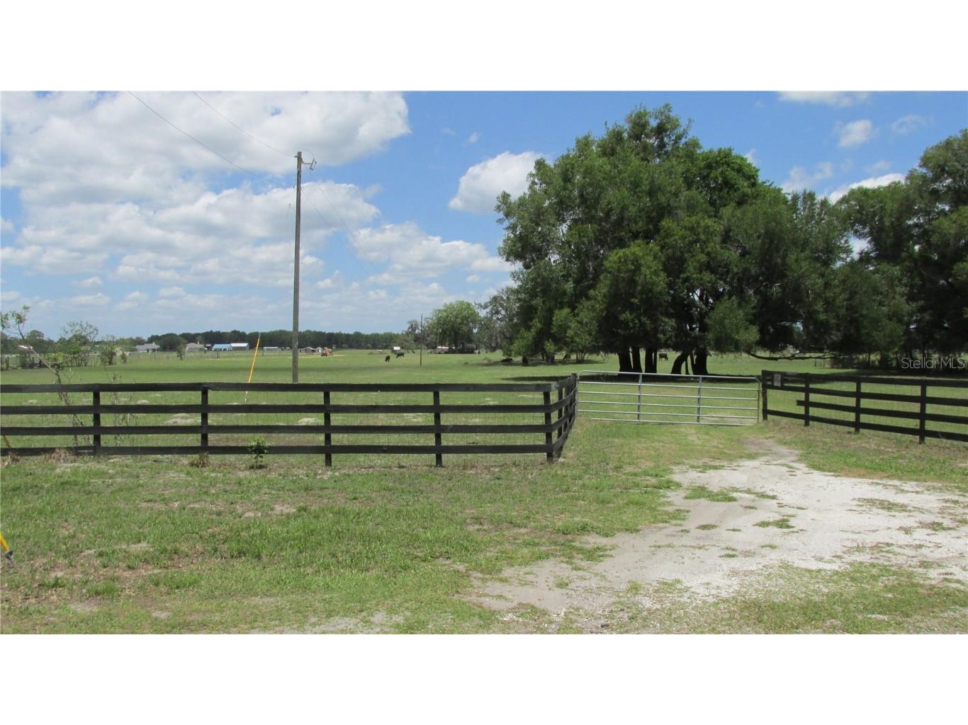  Lake Panasoffkee FL 33538 G5068288 image1