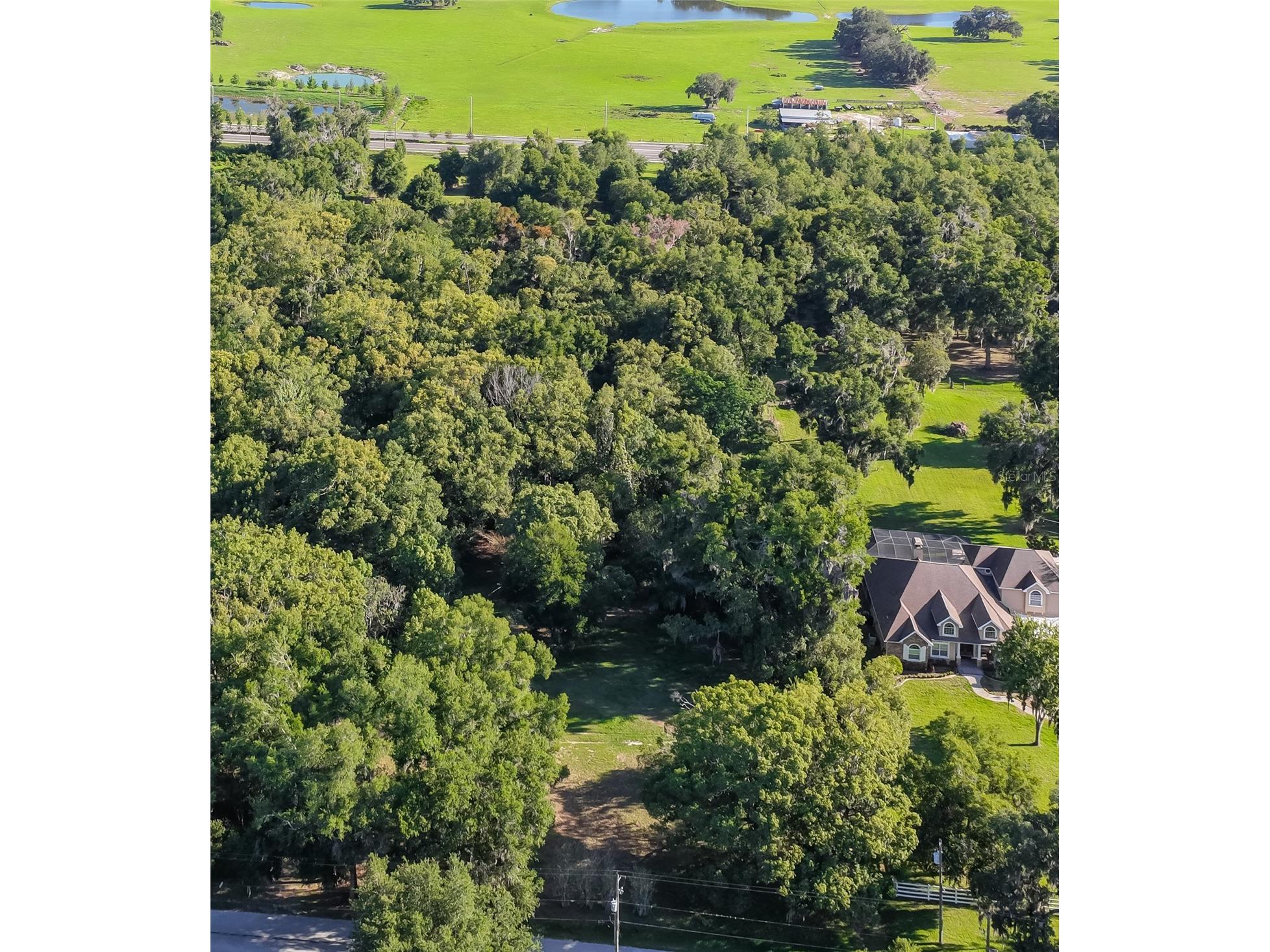 Lake Pasadena Road Dade City FL 33525 TB8516867 image2