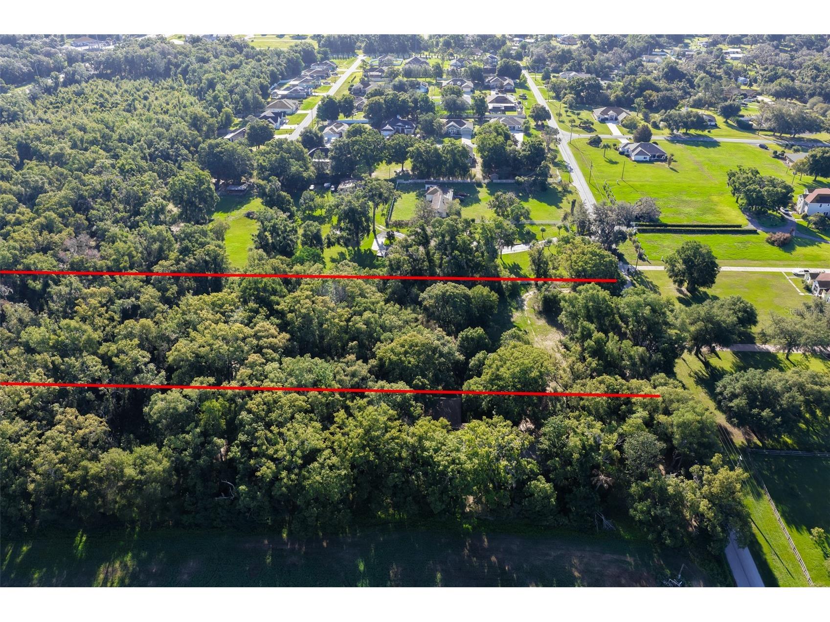 Lake Pasadena Road Dade City FL 33525 TB8516867 image7
