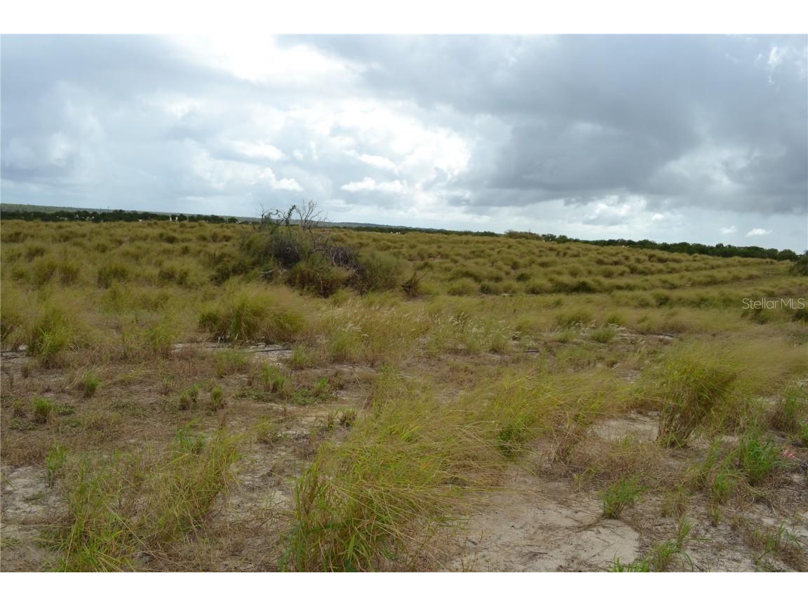 Lake Patrick Road N Babson Park FL 33827 O6349997 image10