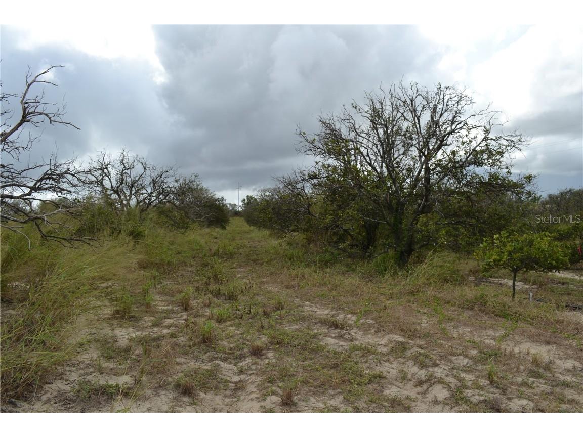 Lake Patrick Road N Babson Park FL 33827 O6349997 image11