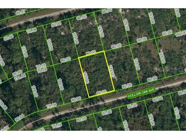  Lake Placid FL 33852 A4550961 image1