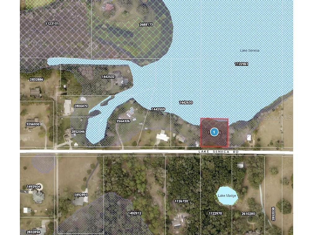 Lake Seneca Road Eustis FL 32736 O6387086 image1
