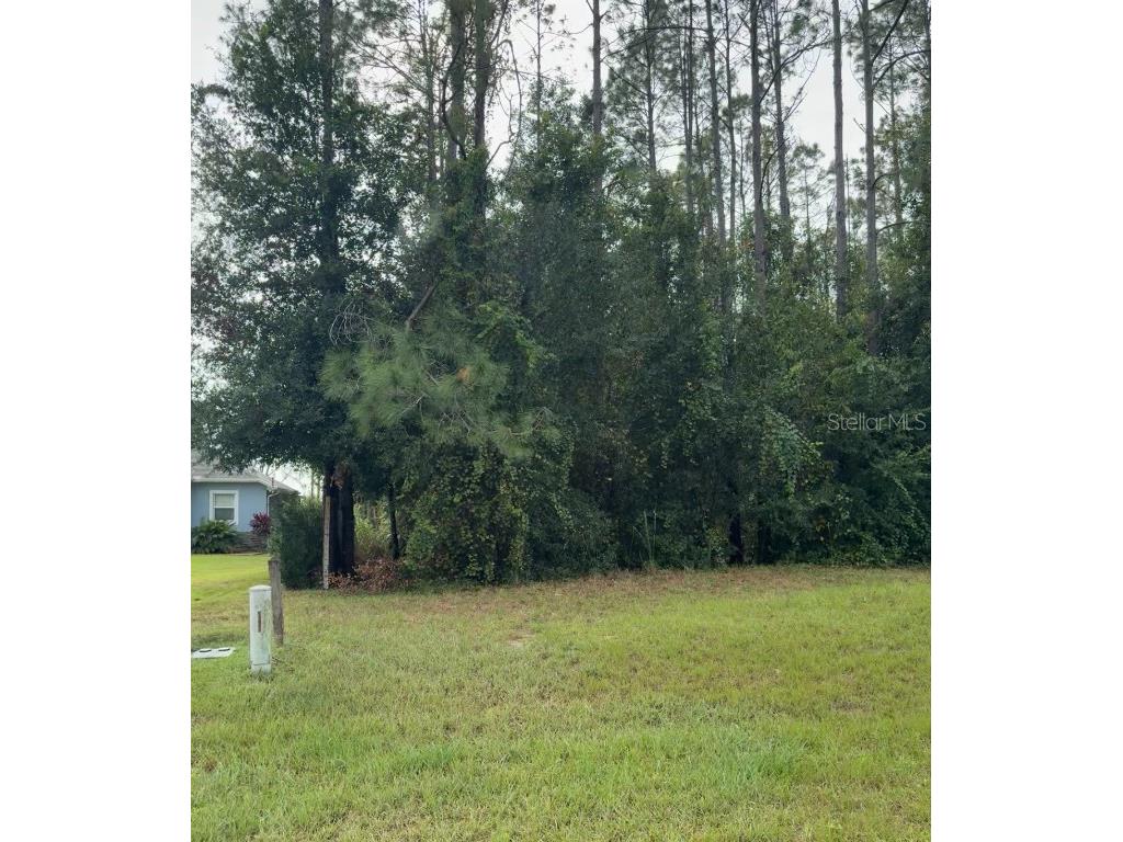 Lake Smith Road Umatilla FL 32784 S5139359 image1