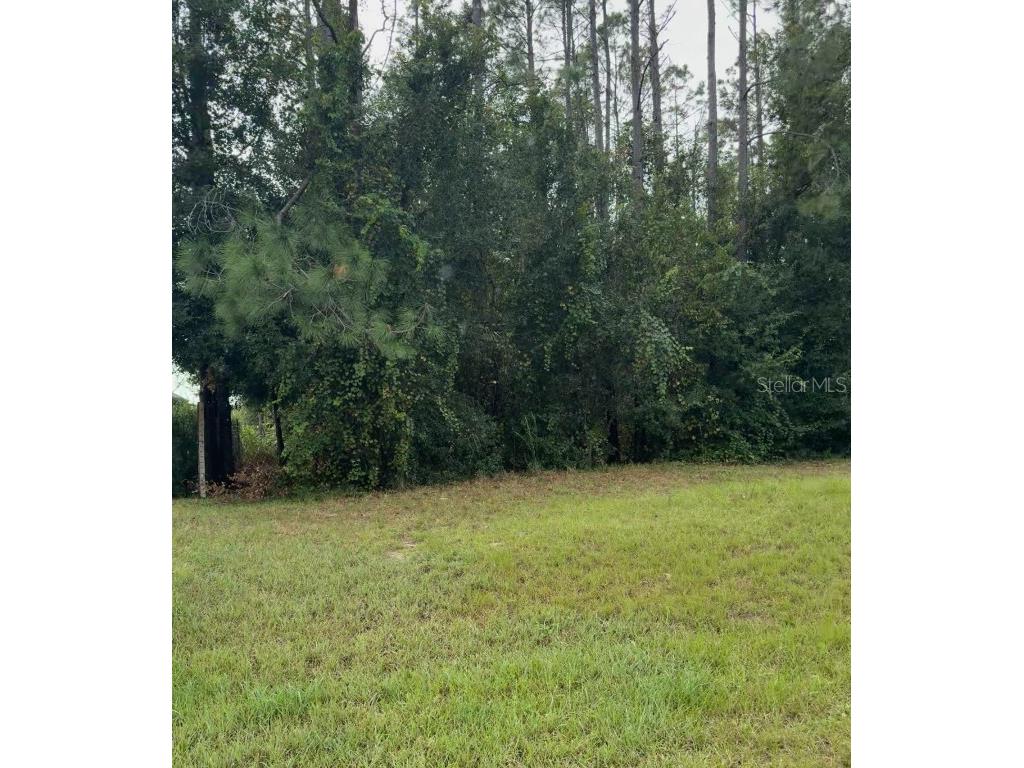 Lake Smith Road Umatilla FL 32784 S5139359 image2