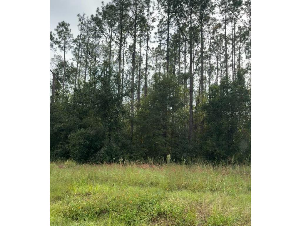 Lake Smith Road Umatilla FL 32784 S5139359 image3