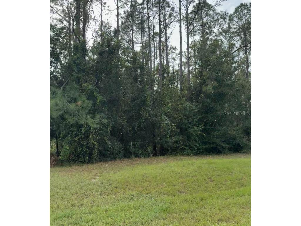 Lake Smith Road Umatilla FL 32784 S5139359 image4