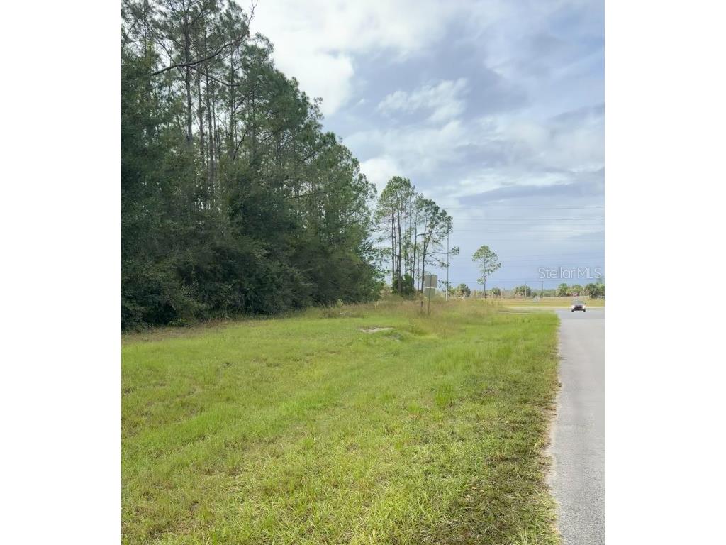 Lake Smith Road Umatilla FL 32784 S5139359 image6