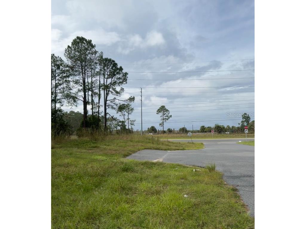 Lake Smith Road Umatilla FL 32784 S5139359 image8