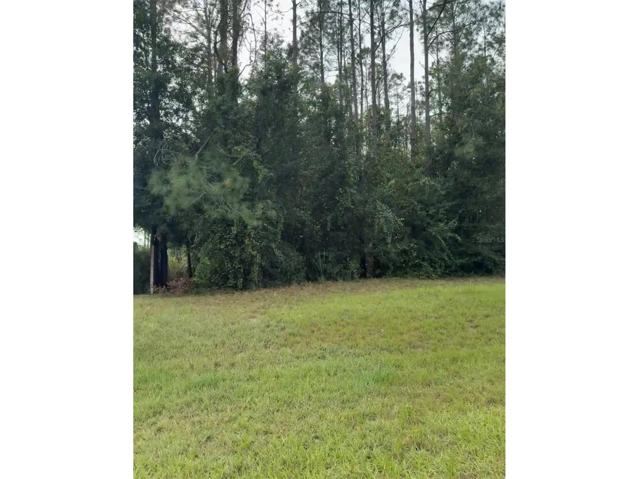 Lake Smith Road Umatilla FL 32784 S5147383 image1