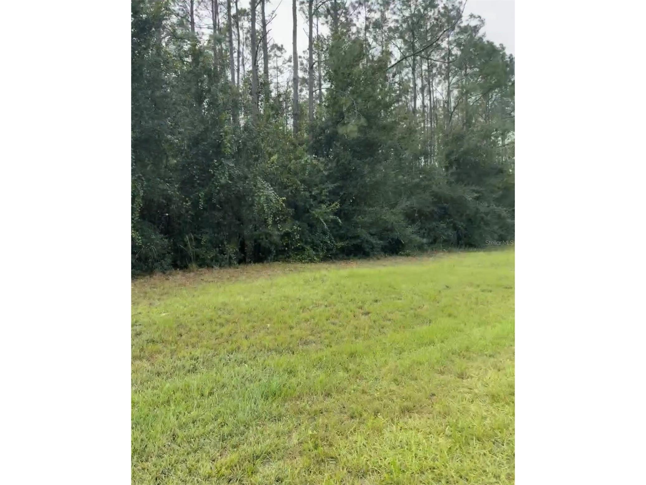 Lake Smith Road Umatilla FL 32784 S5147383 image2