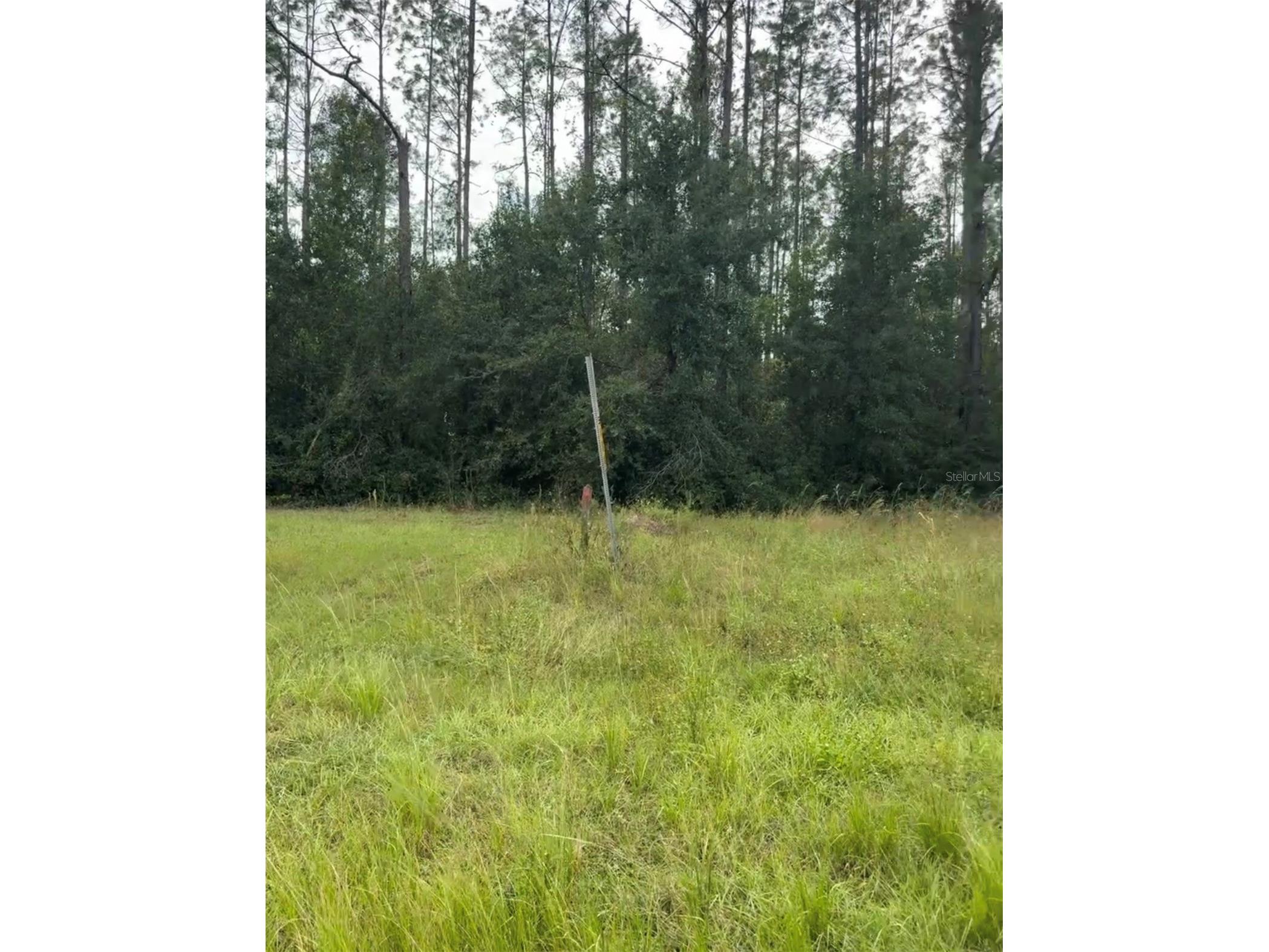 Lake Smith Road Umatilla FL 32784 S5147383 image3