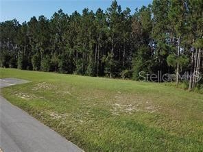 Lake Smith Road Umatilla FL 32784 - LAKE SMITH S5147385 image1