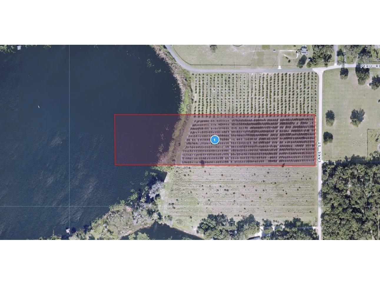Lake Street Umatilla FL 32784 - LAKE OWEN O6170377 image1