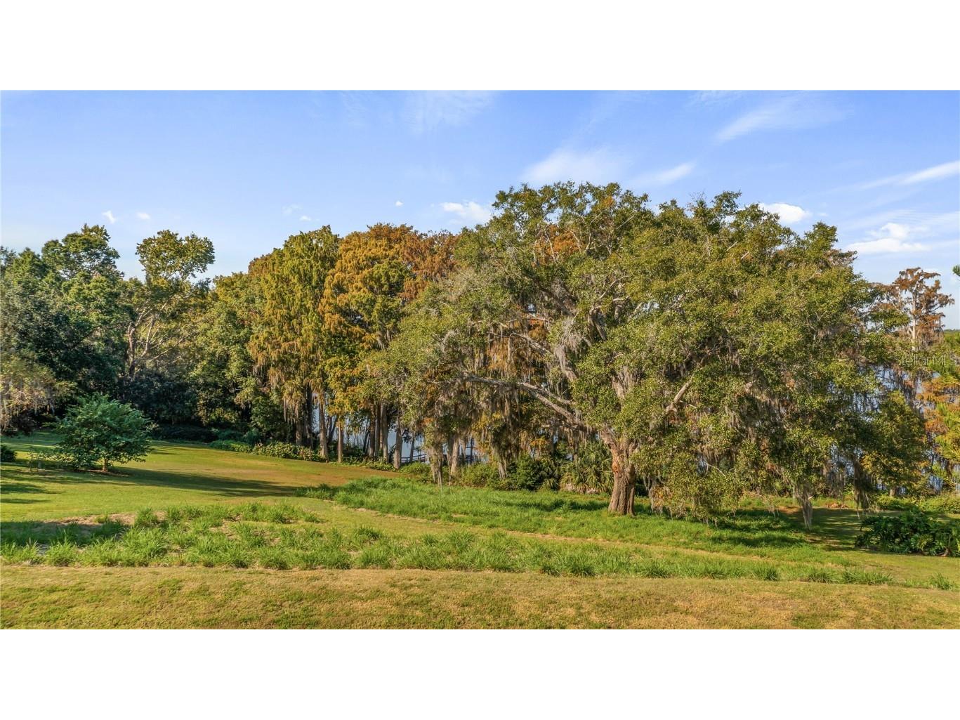 Lake Swatara Drive Eustis FL 32736 - LAKE SWATARA G5105395 image2