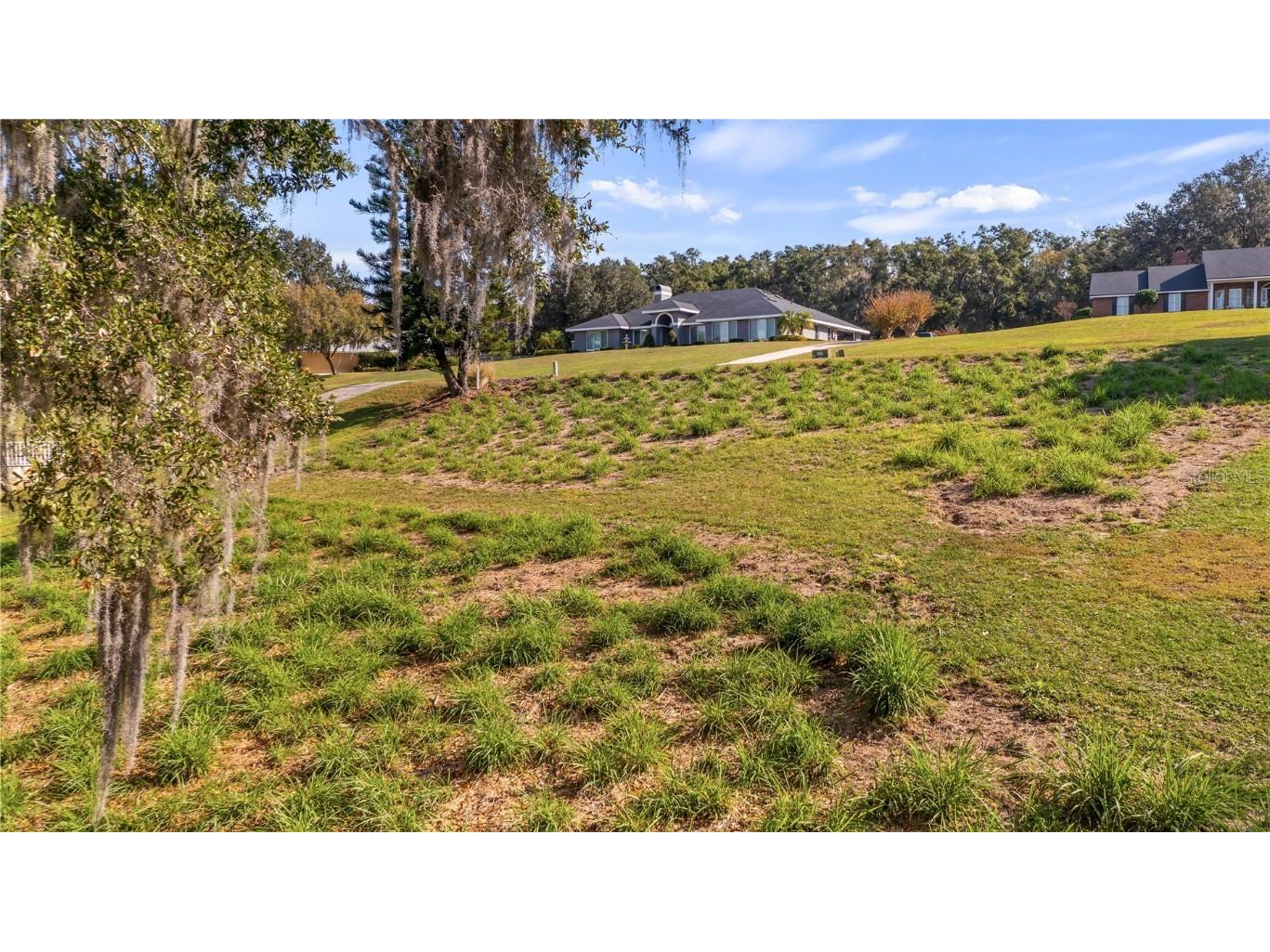 Lake Swatara Drive Eustis FL 32736 - LAKE SWATARA G5105395 image29