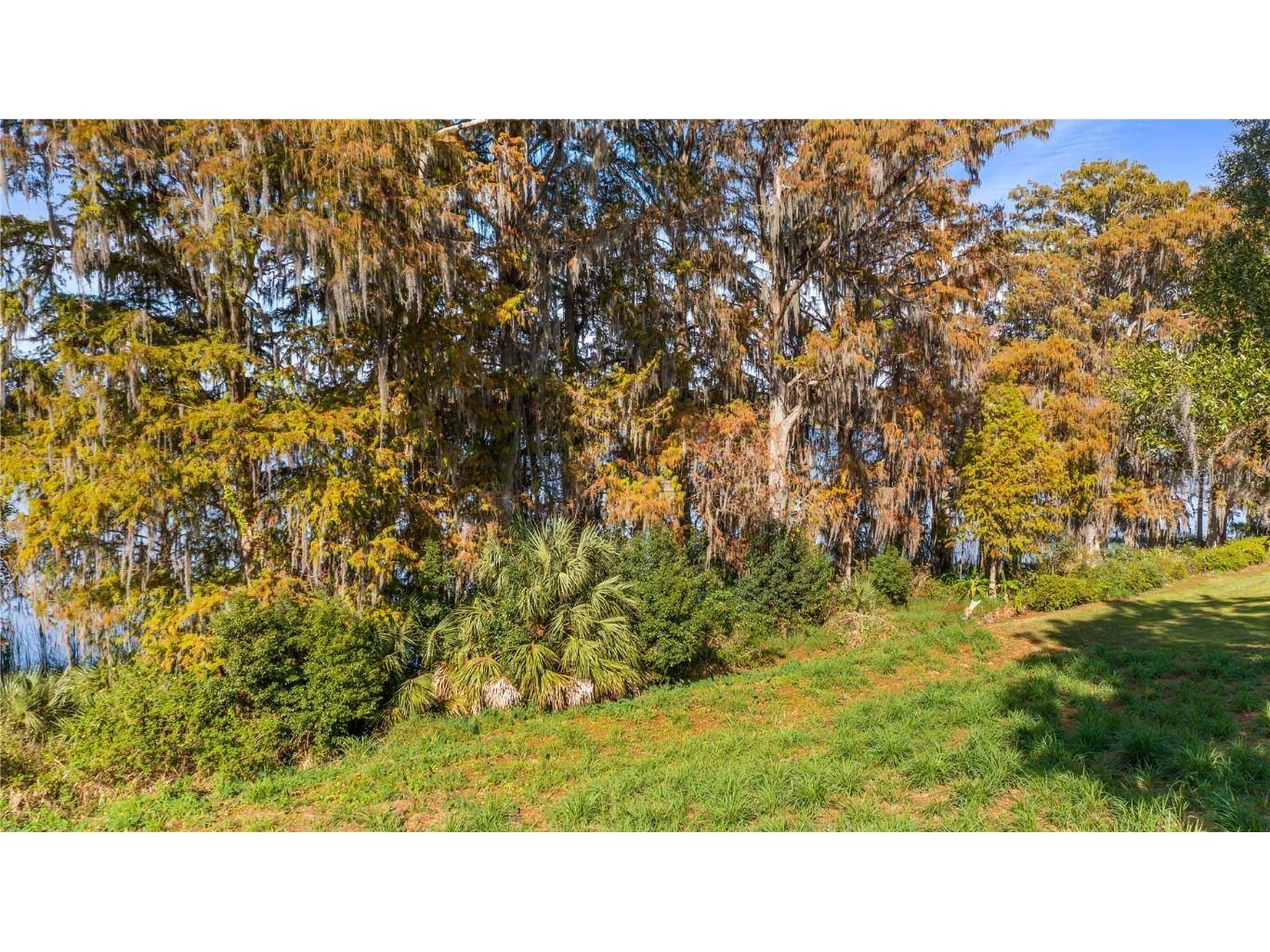 Lake Swatara Drive Eustis FL 32736 - LAKE SWATARA G5105395 image30
