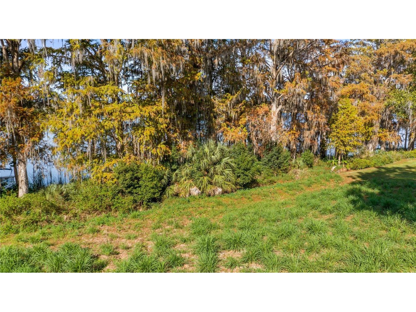 Lake Swatara Drive Eustis FL 32736 - LAKE SWATARA G5105395 image31