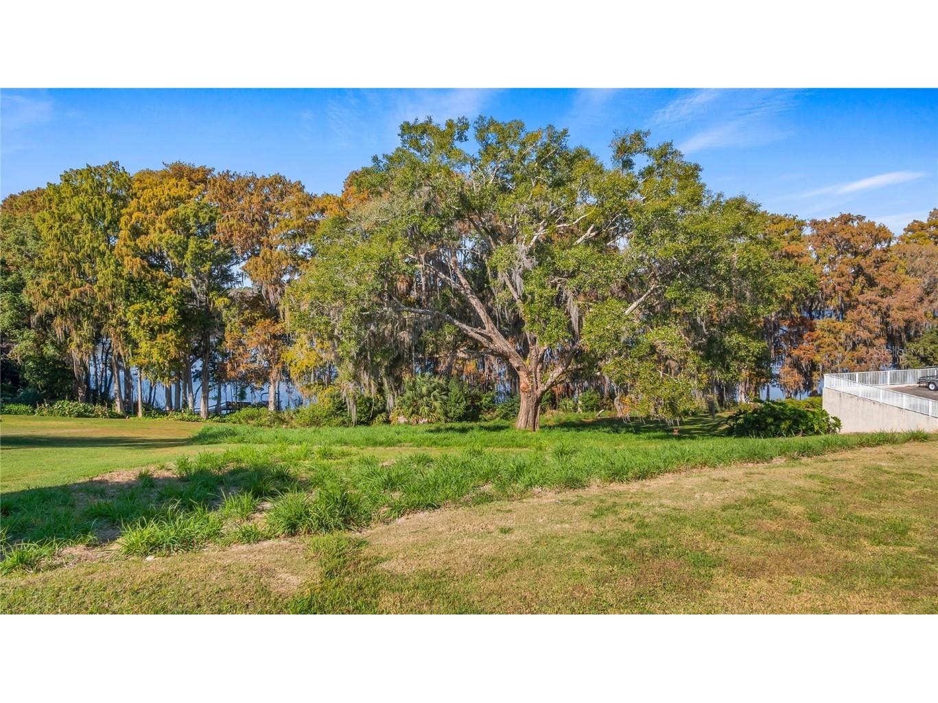 Lake Swatara Drive Eustis FL 32736 - LAKE SWATARA G5105395 image35