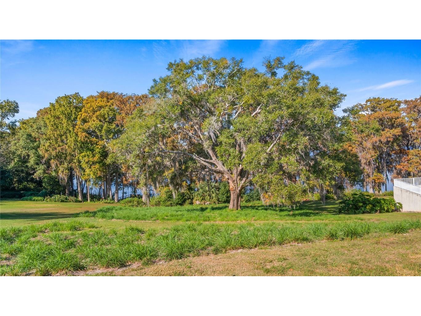 Lake Swatara Drive Eustis FL 32736 - LAKE SWATARA G5105395 image37